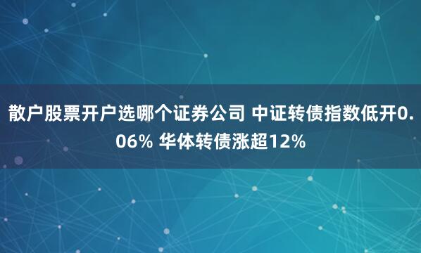 散户股票开户选哪个证券公司 中证转债指数低开0.06% 华体转债涨超12%