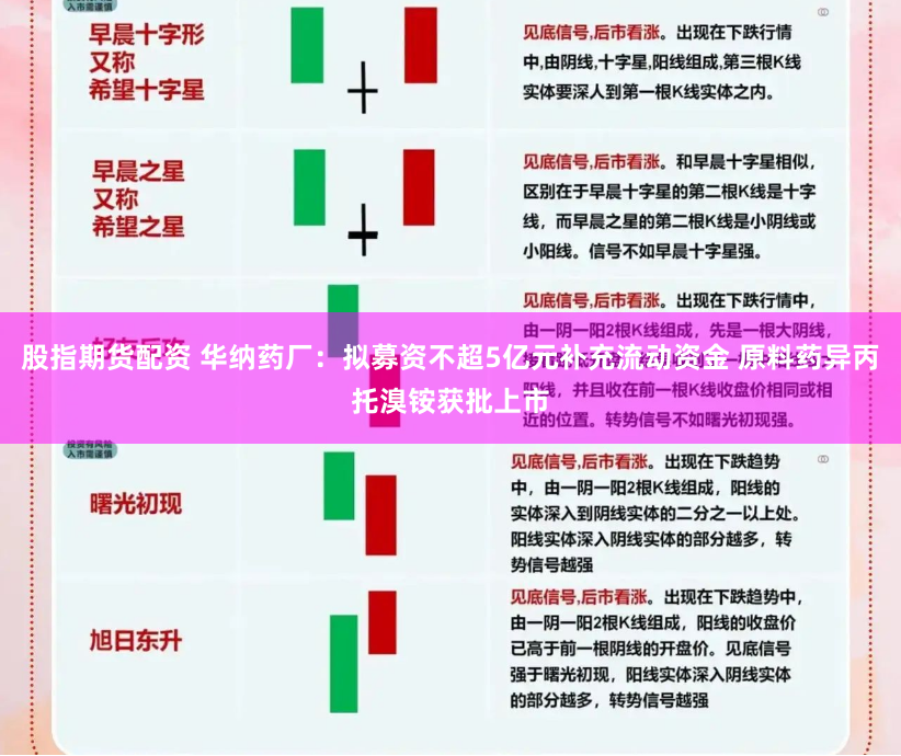 股指期货配资 华纳药厂：拟募资不超5亿元补充流动资金 原料药异丙托溴铵获批上市