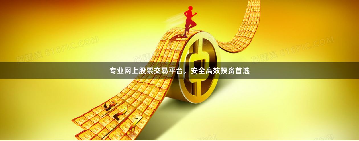 专业网上股票交易平台，安全高效投资首选